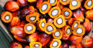 palm oil producing states in nigeria