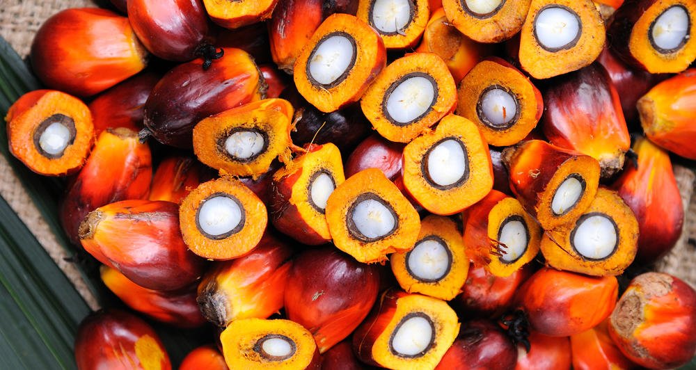 palm oil producing states in nigeria