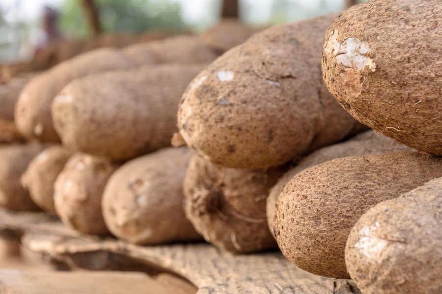 yam producing states in nigeria